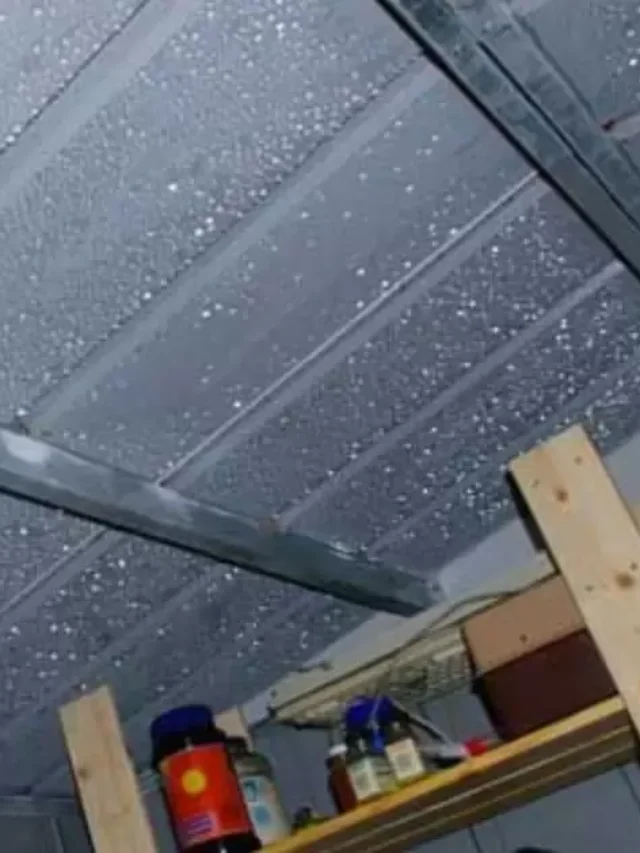 How To Stop Condensation On Metal Roof Metallic Marvels For Modern