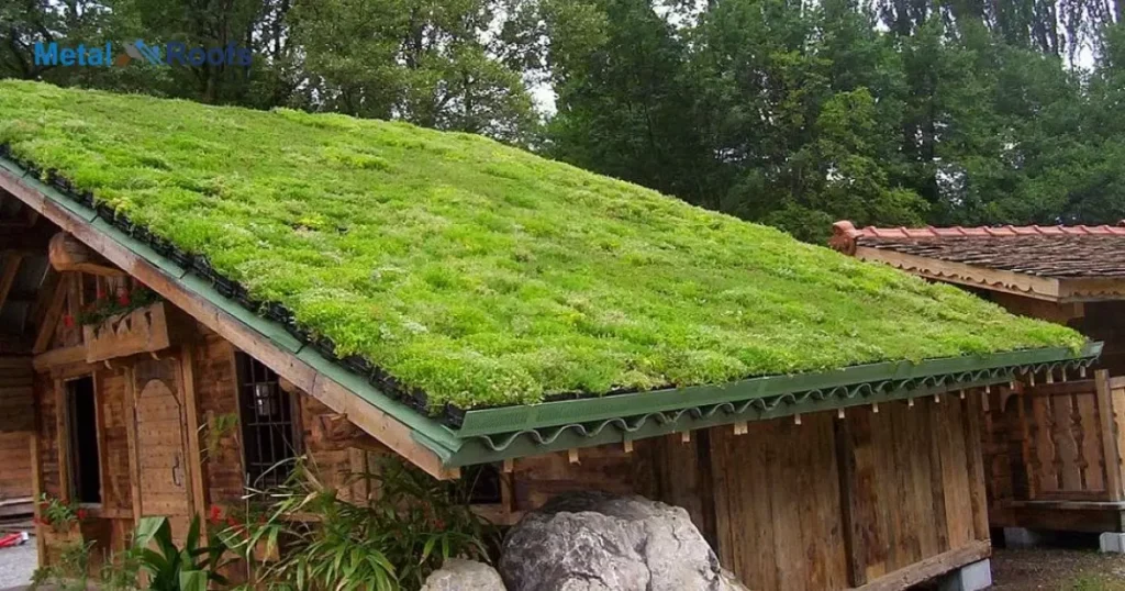 How Do You Install Green Roof Substrates?