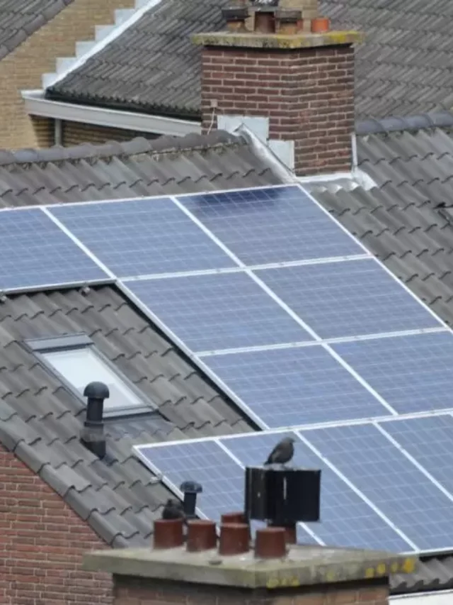 Can You Put Solar Panels On A Metal Roof?