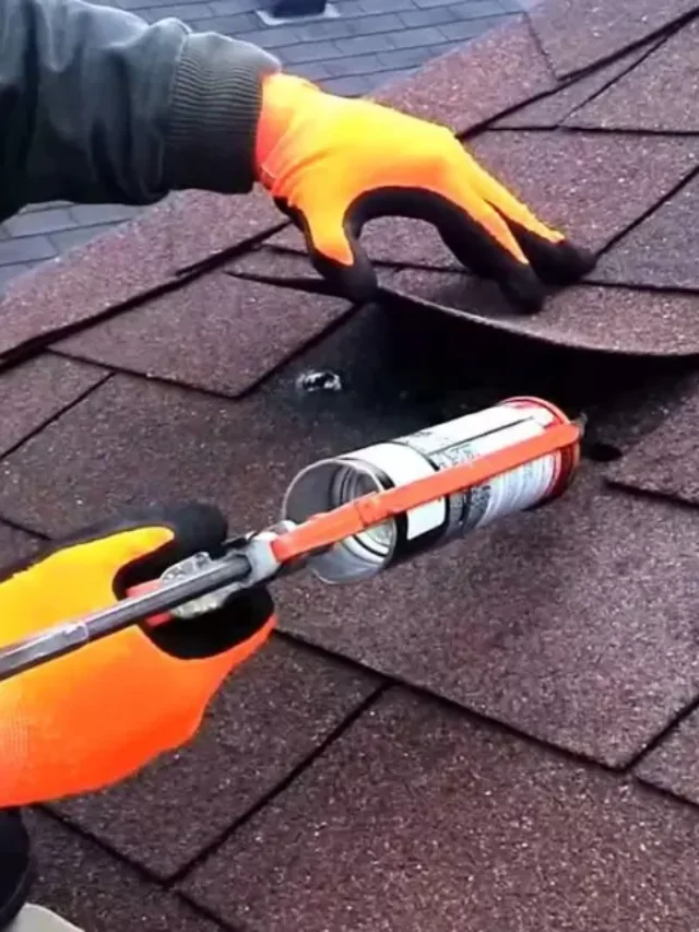 Garage Roof Repair