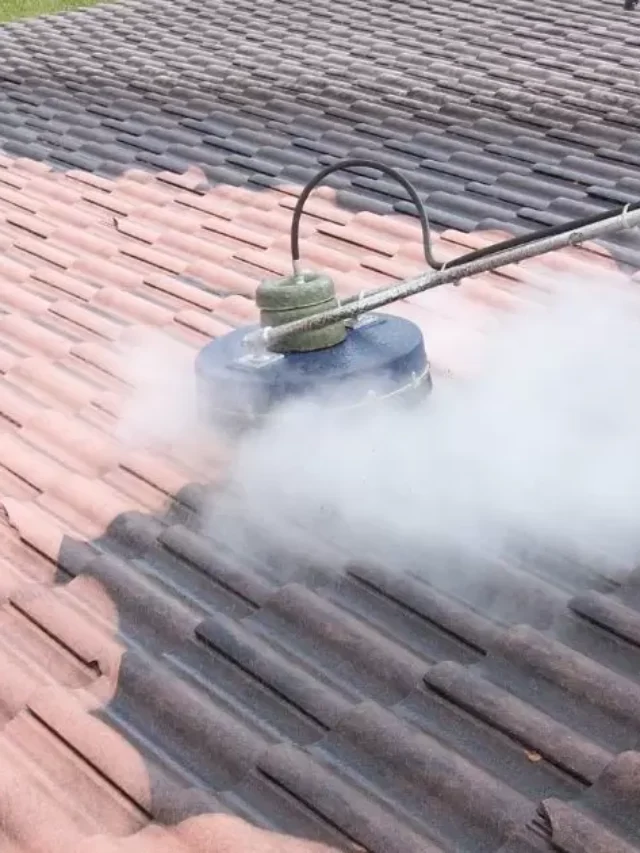 How To Clean Metal Roofs?