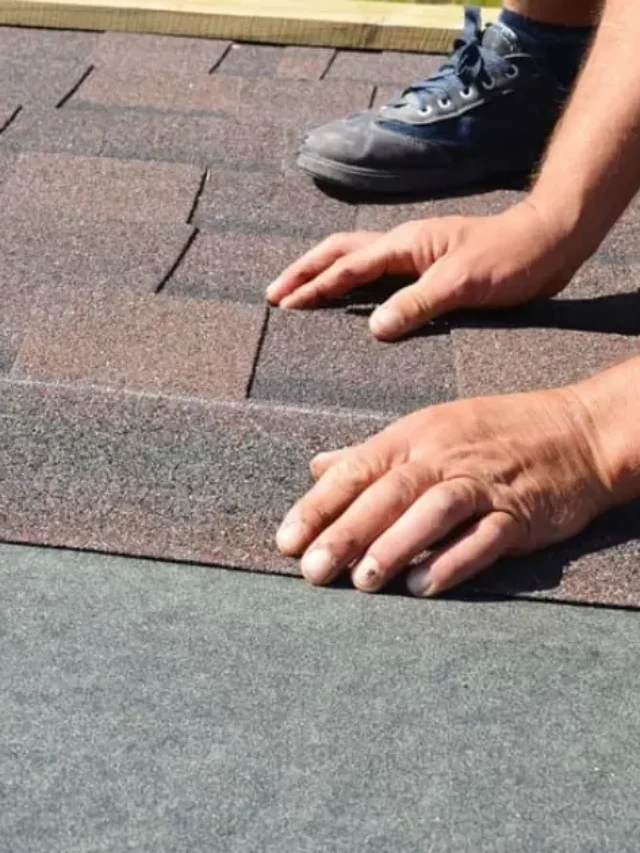 Longest Lasting Asphalt Shingle