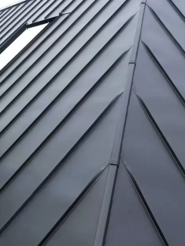 What Is The Deal With Erie Metal Roofs? - Metallic Marvels for Modern ...