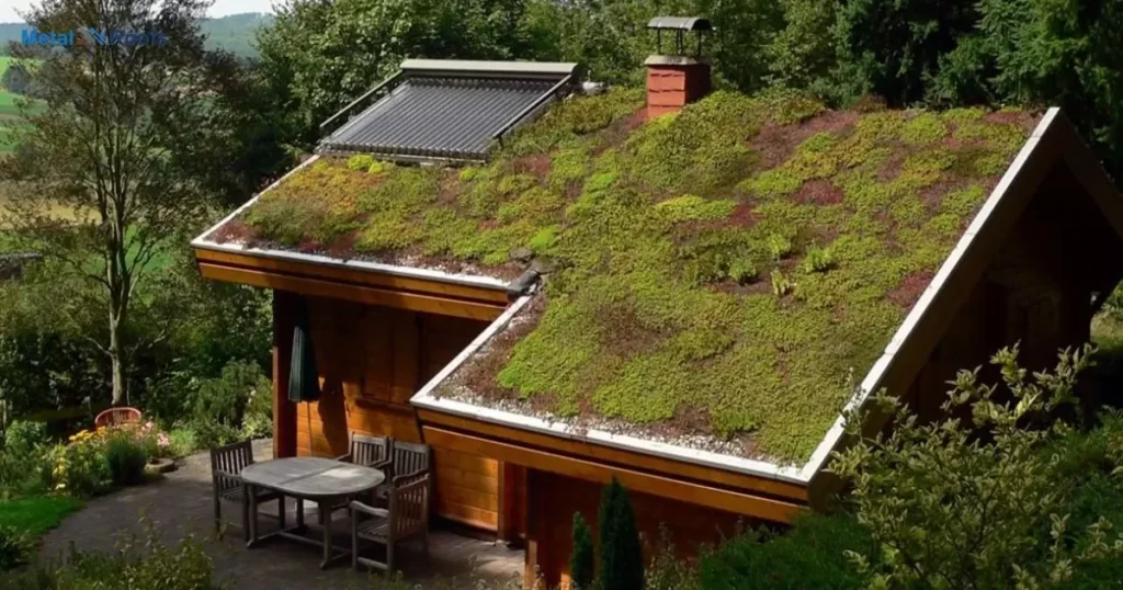 Maintenance And Upkeep Of Brown House With Green Roof