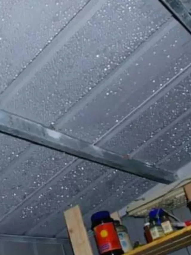 How Do You Stop Condensation On A Metal Roof?