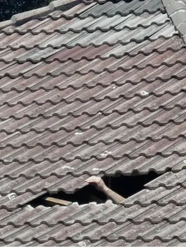 How To Repair a Hole In Roof?